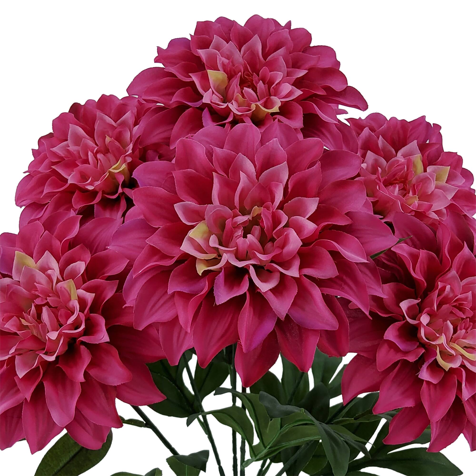 19" Dahlia Bush by Ashland